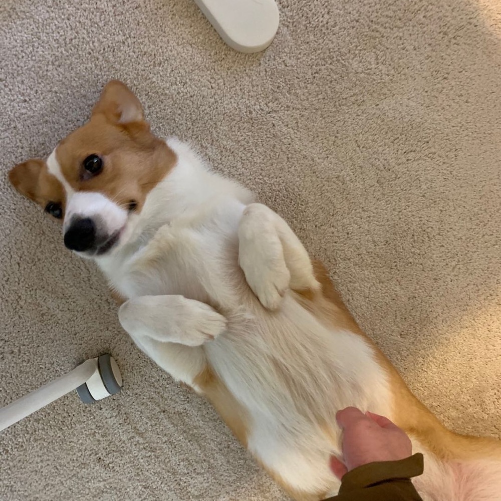 Meet your Posher, Rui